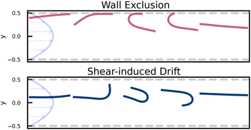 Graphical abstract: Cross-streamline migration and near-wall depletion of elastic fibers in micro-channel flows