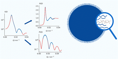Graphical abstract: Structure and short-time diffusion of concentrated suspensions consisting of silicone-stabilised PMMA particles: a quantitative analysis taking polydispersity effects into account