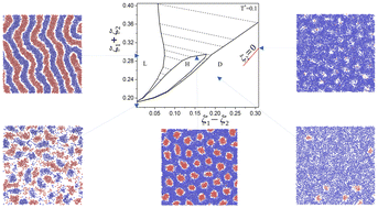 Graphical abstract: Spontaneous pattern formation in monolayers of binary mixtures with competing interactions