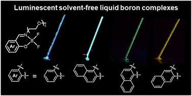 Graphical abstract: Luminescent solvent-free liquids based on Schiff-base boron difluoride complexes with polyethylene glycol chains