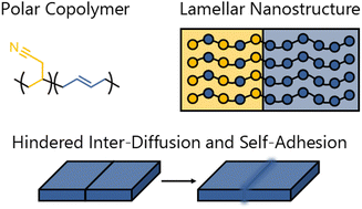 Graphical abstract: Self-adhesion of uncrosslinked poly(butadiene-co-acrylonitrile), i.e. nitrile rubber, an inhomogeneous and associative polymer