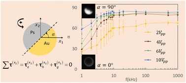 Graphical abstract: The influence of frequency and gravity on the orientation of active metallo-dielectric Janus particles translating under a uniform applied alternating-current electric field