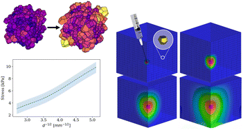 Graphical abstract: Geometry of adipocyte packing in subcutaneous tissue contributes to nonlinear tissue properties captured through a Gaussian process surrogate model