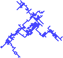 Graphical abstract: Hydrodynamically induced aggregation of two dimensional oriented active particles