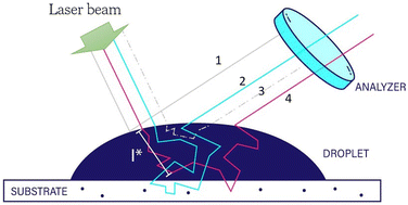 Graphical abstract: Dynamics of individual inkjet printed picoliter droplet elucidated by high speed laser speckle imaging