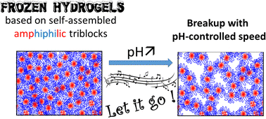 Graphical abstract: pH-controlled breakup of fractal aggregates, microgels and gels formed by self-assembled amphiphilic triblock copolymers