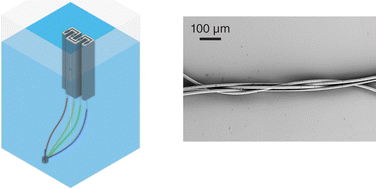 Graphical abstract: Braiding, twisting, and weaving microscale fibers with capillary forces
