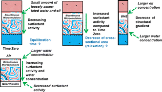 Graphical abstract: Effect of equilibration time on the structural gradient in the vertical direction for bicontinuous microemulsions in Winsor-III and -IV systems