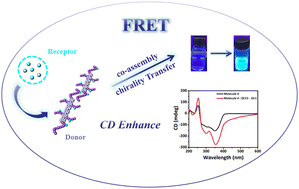 Graphical abstract: Chirality-induced supramolecular nanodishes: enantioselectivity and energy transfer