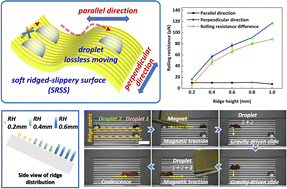 Graphical abstract: Efficient fabrication of bioinspired soft, ridged-slippery surfaces with large-range anisotropic wettability for droplet manipulation