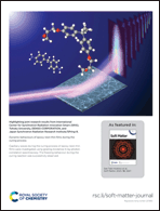 Graphical abstract: Back cover