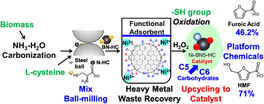 Graphical abstract: Upcycling of spent functional biocarbon adsorbents to catalysts for the conversion of C5/C6 carbohydrates into platform chemicals