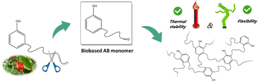 Graphical abstract: Eco-friendly synthesis of cardanol-based AB monomer for formaldehyde-free phenolic thermosets