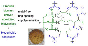 Graphical abstract: Highly crosslinked polyesters prepared by ring-opening copolymerization of epoxidized baru nut and macaw palm oils with cyclic anhydrides