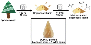 Graphical abstract: Microwave-assisted organosolv extraction for more native-like lignin and its application as a property-enhancing filler in a light processable biobased resin