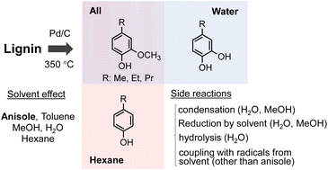 Graphical abstract: Effects of solvent on pyrolysis-assisted catalytic hydrogenolysis of softwood lignin for high-yield production of monomers and phenols, as studied using coniferyl alcohol as a major primary pyrolysis product