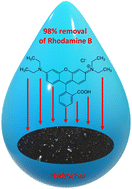 Graphical abstract: Hydrochar from Sargassum muticum: a sustainable approach for high-capacity removal of Rhodamine B dye