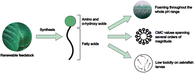 Graphical abstract: Synthesis, physicochemical characterization and aquatic toxicity studies of anionic surfactants derived from amino and α-hydroxy acids