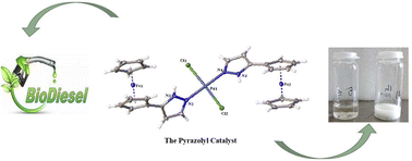 Graphical abstract: Hydrogenation of biodiesel catalysed by pyrazolyl nickel(ii) and palladium(ii) complexes