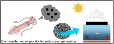 Graphical abstract: Cuttlefish ink nanoparticles-integrated aerogel membranes for efficient solar steam generation