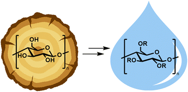 Graphical abstract: Cellulose modification for sustainable polymers: overcoming problems of solubility and processing