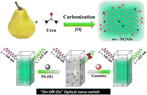 Graphical abstract: N-doped graphene nanosheets-based optical nano switch for the selective detection of guanine and Pb2+
