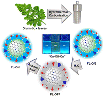 Graphical abstract: Nitrogen-doped carbon quantum dots from biomass as a FRET-based sensing platform for the selective detection of H2O2 and aspartic acid