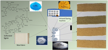 Graphical abstract: Valorisation of sulphonated lignin as a dye for the sustainable colouration of wool fabric using sustainable mordanting agents: enhanced colour yield, colourfastness, and functional properties