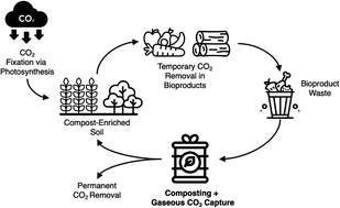 Graphical abstract: Biomass composting with gaseous carbon dioxide capture