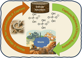 Graphical abstract: Eggshell incorporated agro-waste adsorbent pellets for sustainable orthophosphate capture from aqueous media