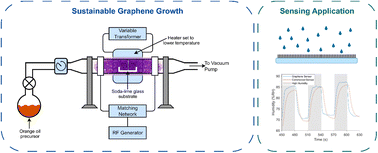 Graphical abstract: Sustainable low temperature carrier gas-free growth of graphene on non-catalytic substrates