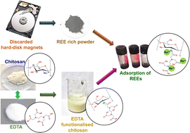Graphical abstract: Recovery of rare earth elements (Nd, Dy) from discarded hard disk magnets using EDTA functionalised chitosan