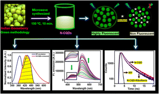 Graphical abstract: Green transformation of biomass-derived Indian gooseberry into fluorescent intrinsic nitrogen-functionalized carbon quantum dots for real-time detection of vitamin B2 in the nanomolar range