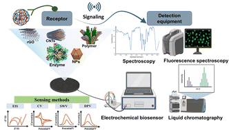 Graphical abstract: Nanomaterial-based electrochemical chemo(bio)sensors for the detection of nanoplastic residues: trends and future prospects