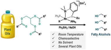 Graphical abstract: Direct chemoselective reduction of plant oils using silane catalysed by Rh(iii) complexes at ambient temperature