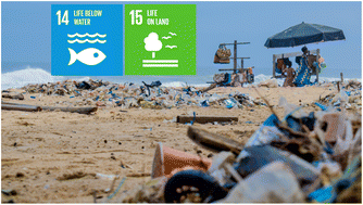Graphical abstract: UN Sustainable Development Goals 14 and 15 – Life below water, Life on land