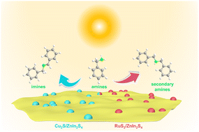 Graphical abstract: Manipulating selective amine transformation pathways via cocatalyst-modified monolayer ZnIn2S4 photocatalysts
