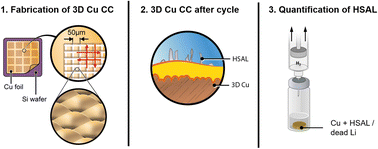 Graphical abstract: On the direct correlation between the copper current collector surface area and ‘dead Li’ formation in zero-excess Li metal batteries