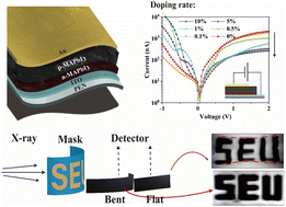 Graphical abstract: A flexible perovskite homojunction with metallic ion doping for large-scale and high sensitivity X-ray detection
