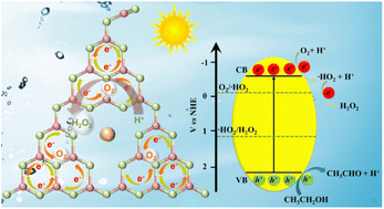 Graphical abstract: Improved H2O2 photogeneration on Rb-doped-polymeric carbon nitride via enhanced O2 adsorption