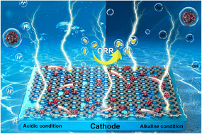 Graphical abstract: Engineering an iron atom-cluster nanostructure towards efficient and durable electrocatalysis
