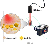 Graphical abstract: Photothermal therapy for cancer cells using optically tunable Fe2O3@Au hexagonal nanodisks