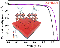 Graphical abstract: Fine-tuning chemical passivation over photovoltaic perovskites by varying the symmetry of bidentate acceptor in D–A molecules