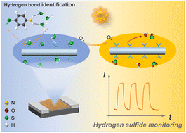 Graphical abstract: Surface fully functionalized metal chalcogenide nanowires for highly sensitive H2S sensing