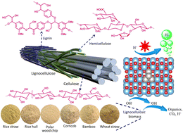 Graphical abstract: Sub-10 nm anatase TiO2 nanoparticles for rapid photocatalytic H2 production from lignocellulosic biomass