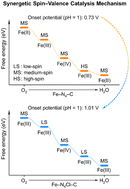 Graphical abstract: Synergistic spin–valence catalysis mechanism in oxygen reduction reactions on Fe–N–C single-atom catalysts