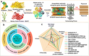 Graphical abstract: Barley – a yet un-tapped feedstock for improved vegetable protein-based wood adhesives