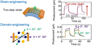 Graphical abstract: Ultrahigh photoresponse in strain- and domain-engineered large-scale MoS2 monolayer films