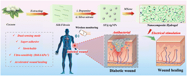 Graphical abstract: Skin-inspired antibacterial conductive hydrogels customized for wireless flexible sensor and collaborative wound healing