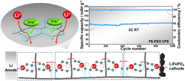 Graphical abstract: Enhancing Li ion conduction through polyethylene glycol brushes towards long-life solid-state lithium metal batteries